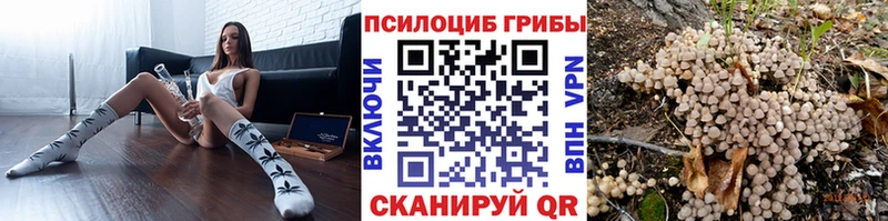 Псилоцибиновые грибы мухоморы  kraken как зайти  Починок 